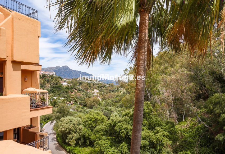 Resale - Apartment - Benahavís - Benahavís Centro