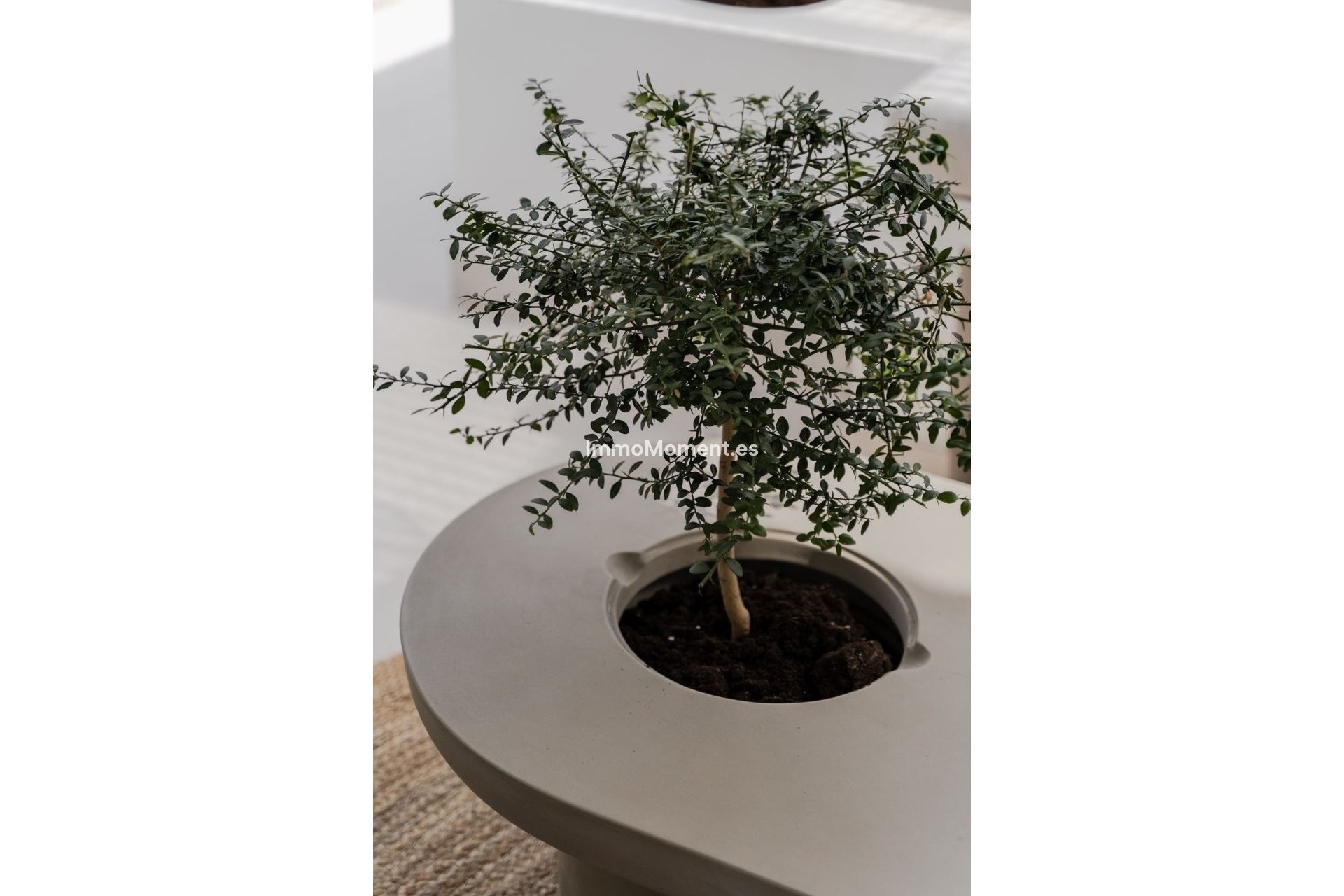 Resale - Apartment - Benahavís - La Quinta