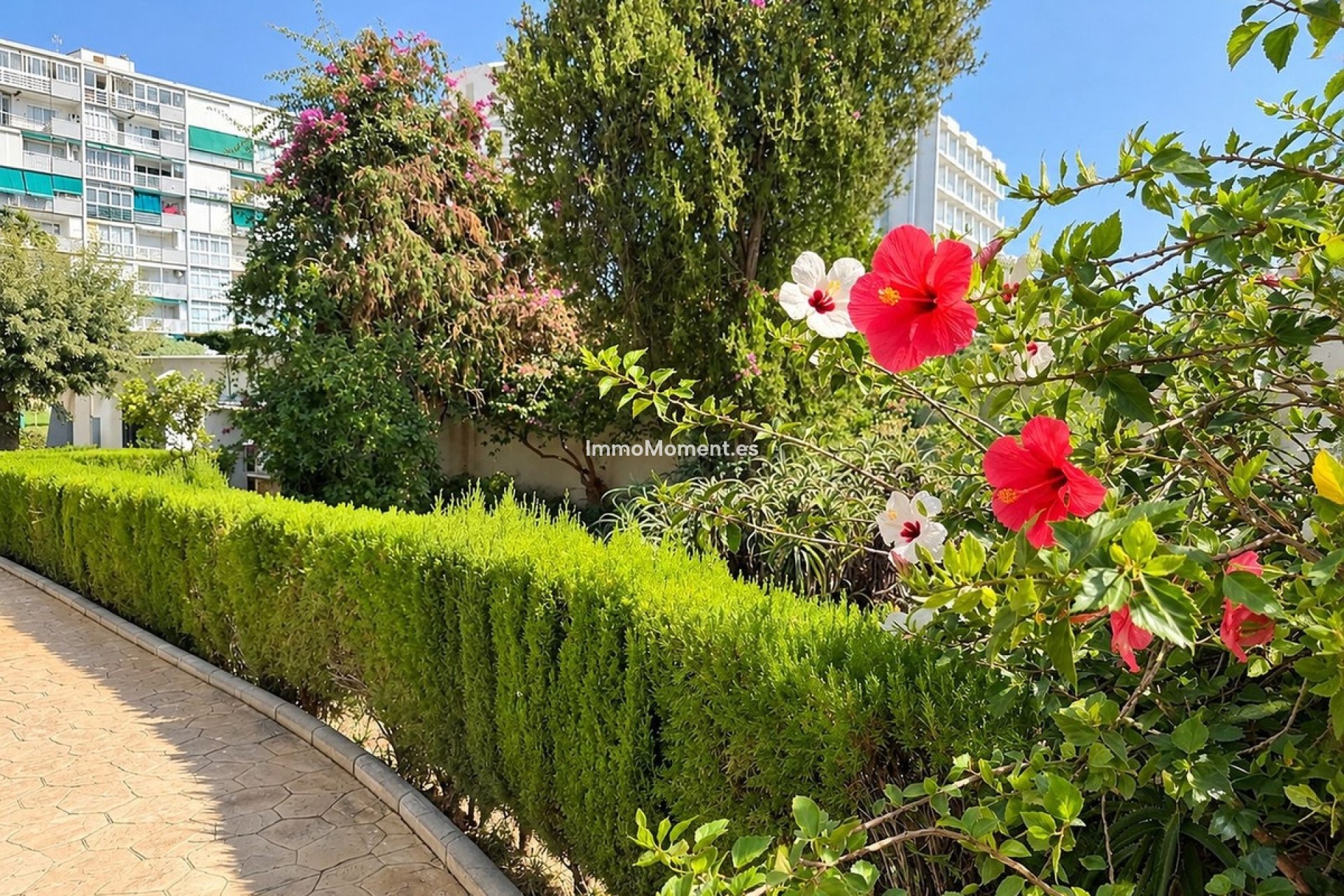 Resale - Apartment - Benalmadena - Benalmadena Costa