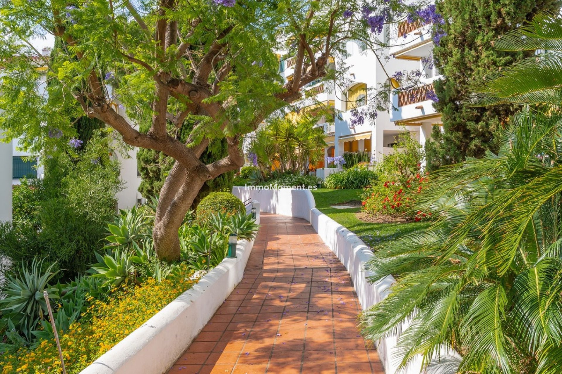 Resale - Apartment - Benalmadena - Benalmadena Costa