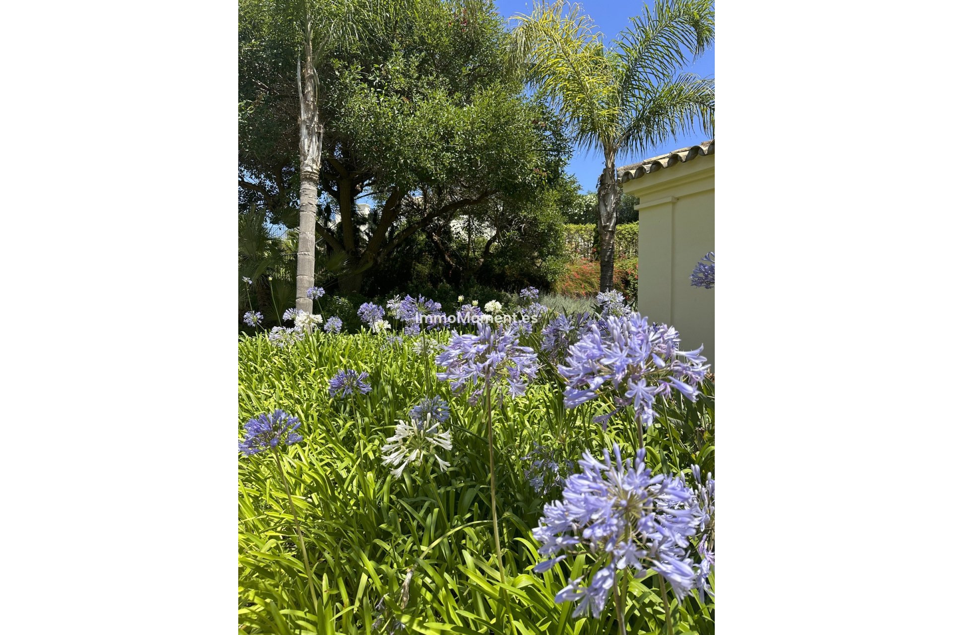 Resale - Apartment - Casares - Casares Centro