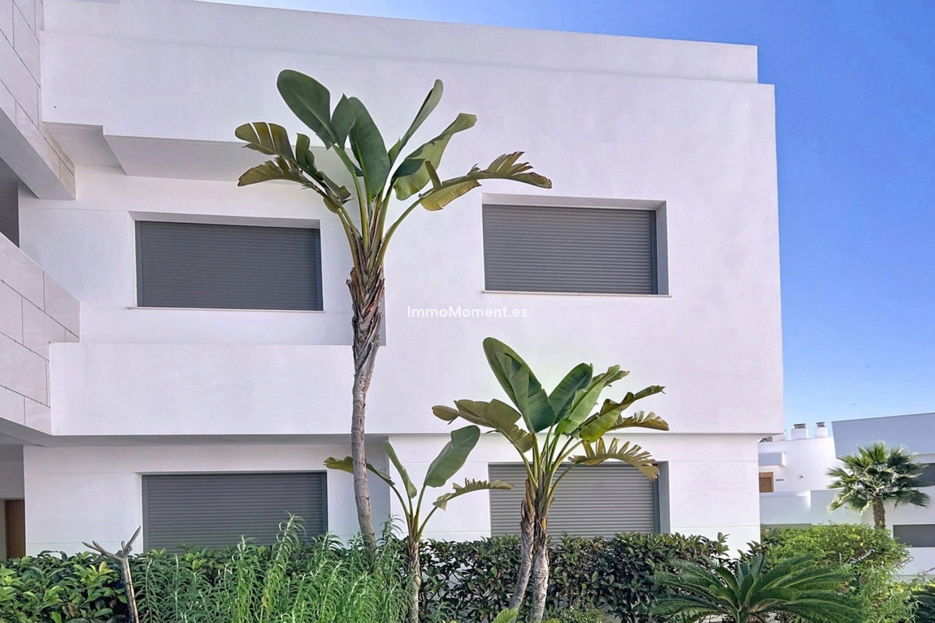 Resale - Apartment - Casares - Casares Centro