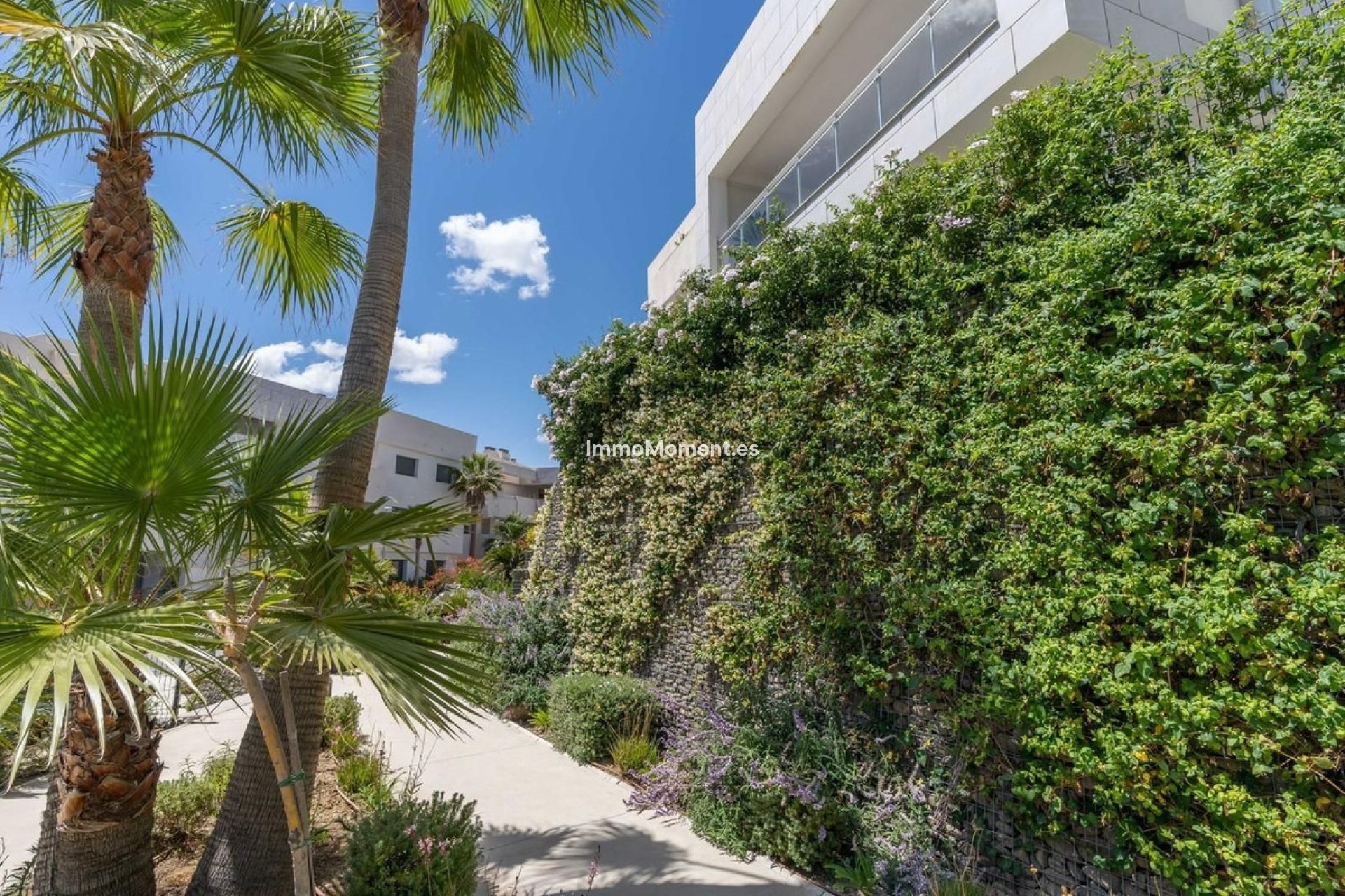 Resale - Apartment - Casares - Casares Centro