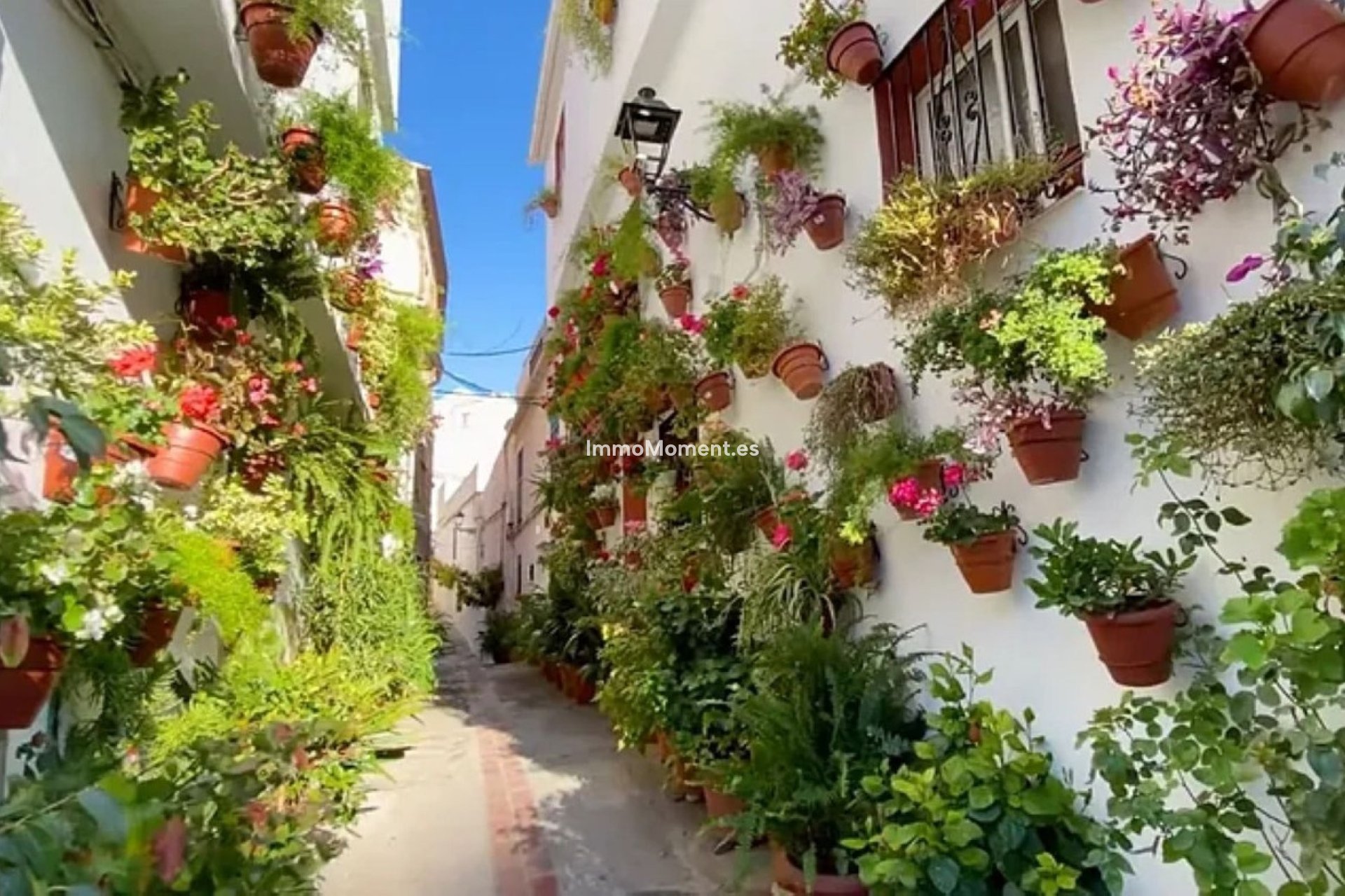 Resale - Apartment - Casares - Casares Playa
