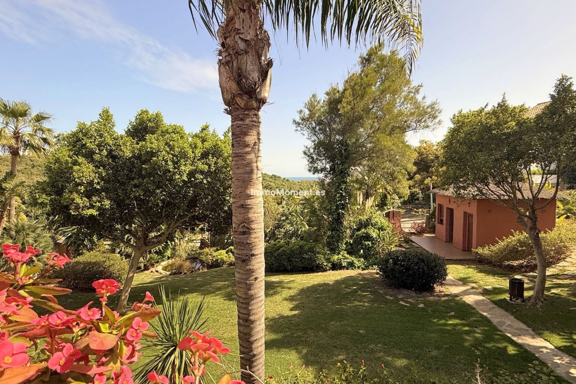 Resale - Apartment - Casares - Casares Playa