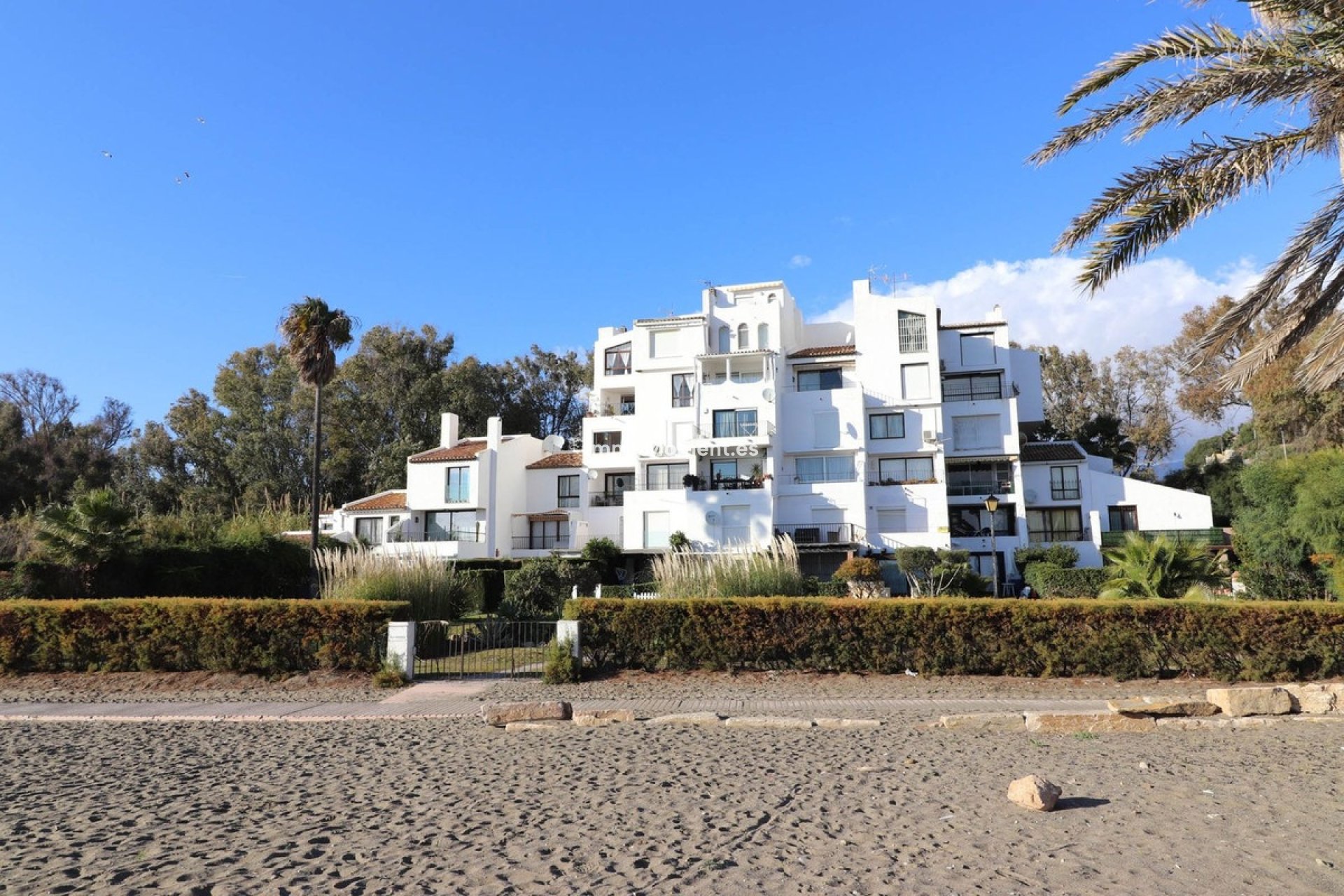 Resale - Apartment - Casares - Casares Playa