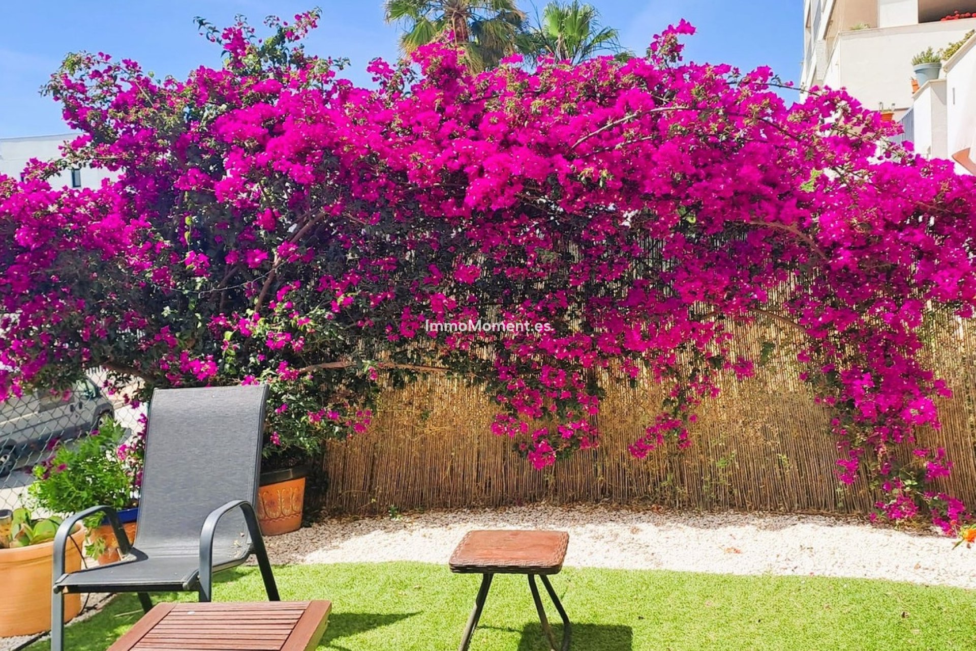 Resale - Apartment - Casares - Casares Playa