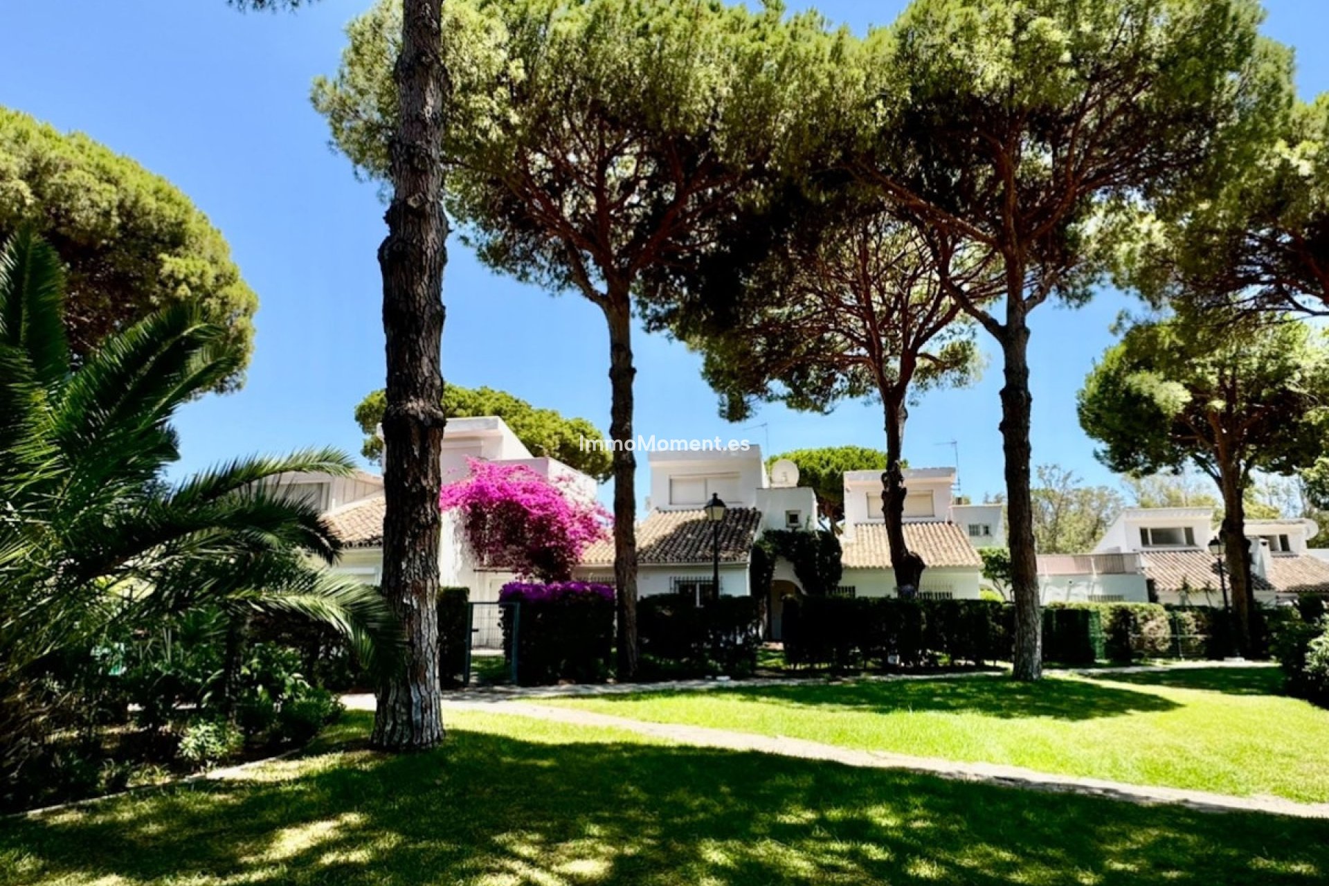 Resale - Apartment - Estepona - Benamara