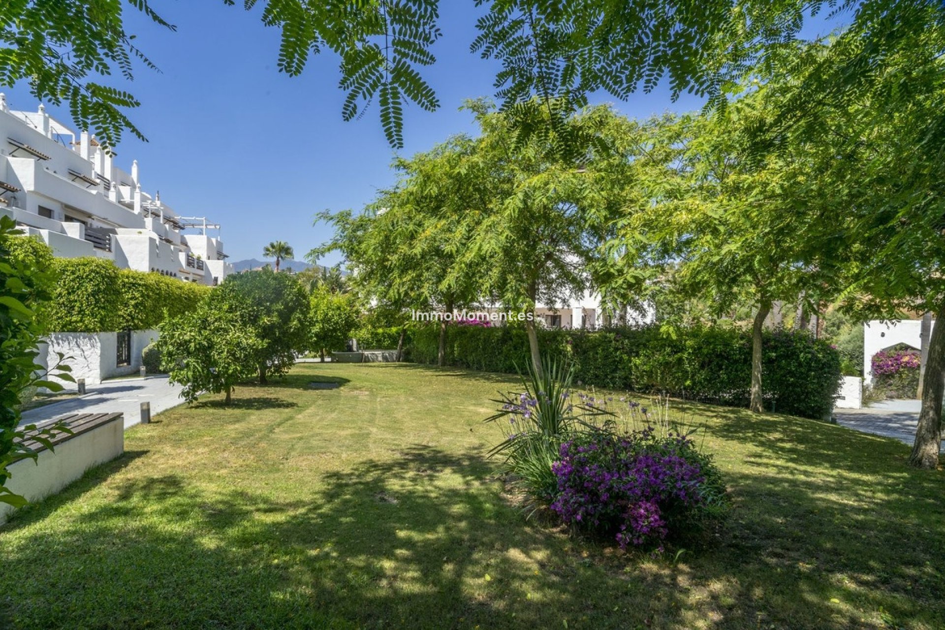 Resale - Apartment - Estepona - Estepona Centro