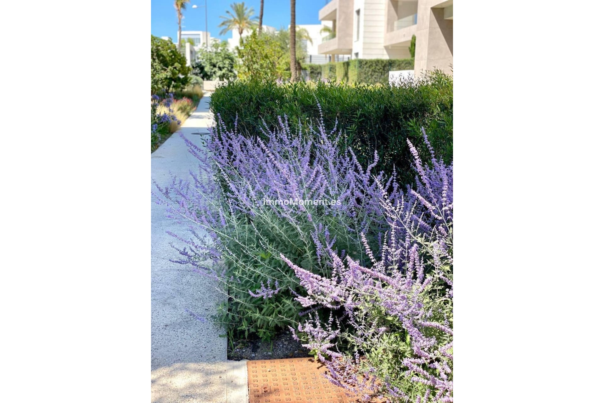 Resale - Apartment - Estepona - New Golden Mile