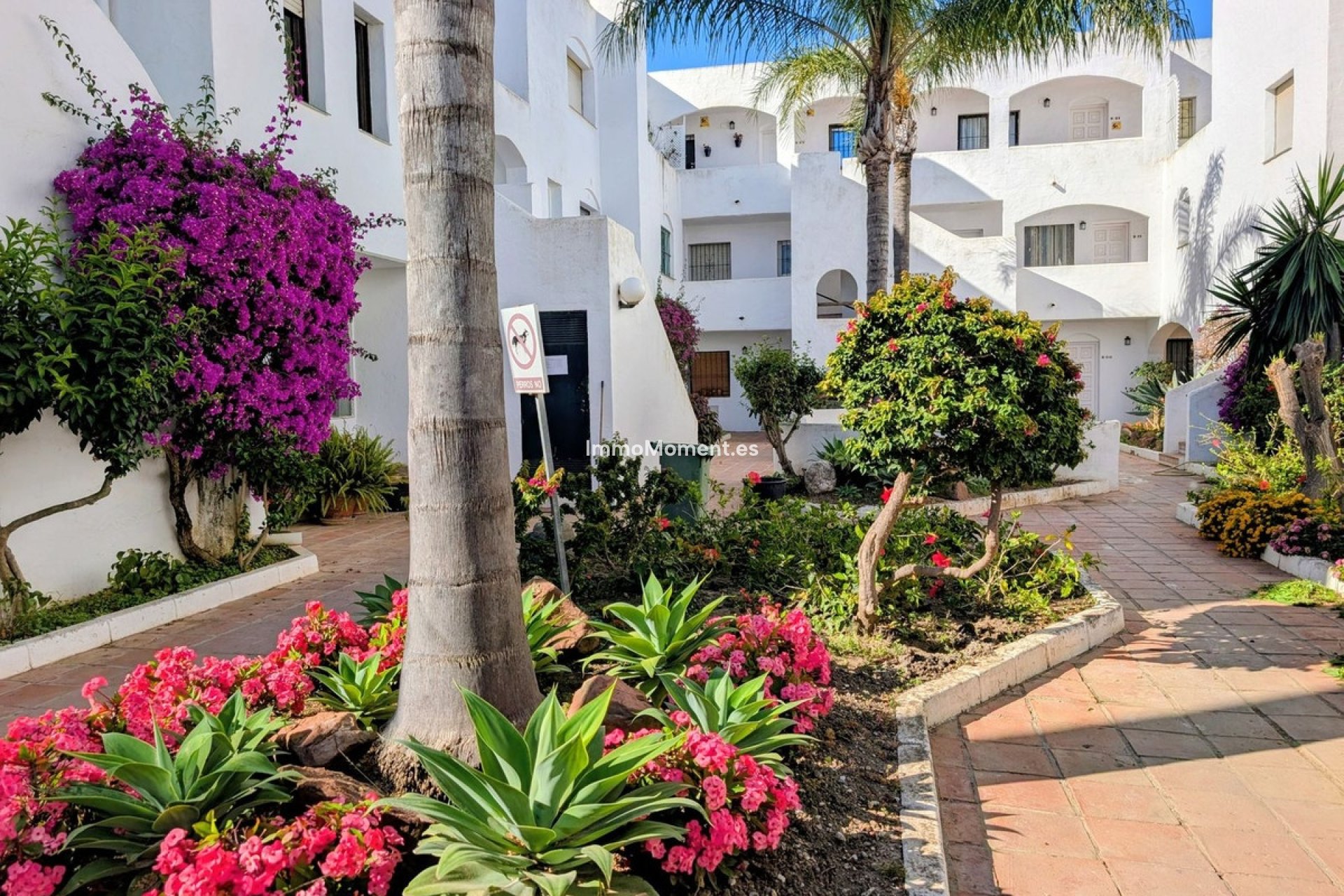 Resale - Apartment - Estepona - New Golden Mile