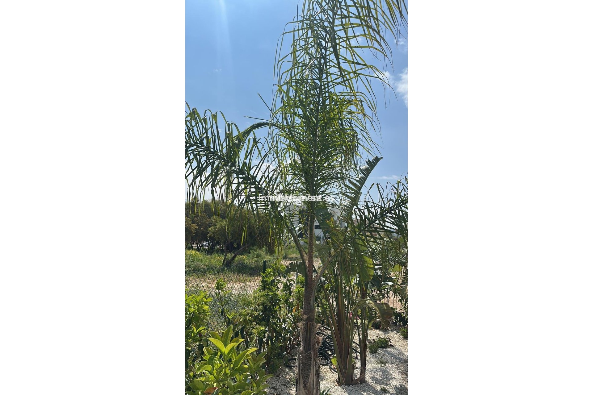 Resale - Apartment - Jávea - Jávea - Xàbia Centro