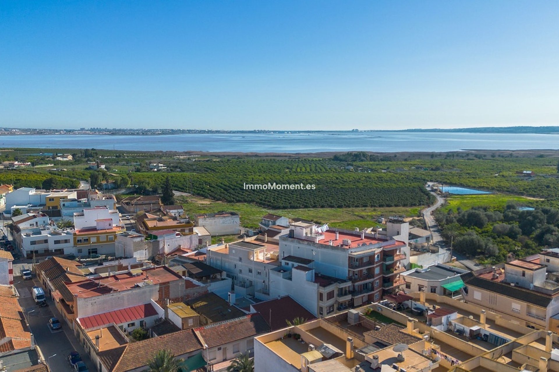 Resale - Apartment - Los Montesinos - Los Montesinos Centro