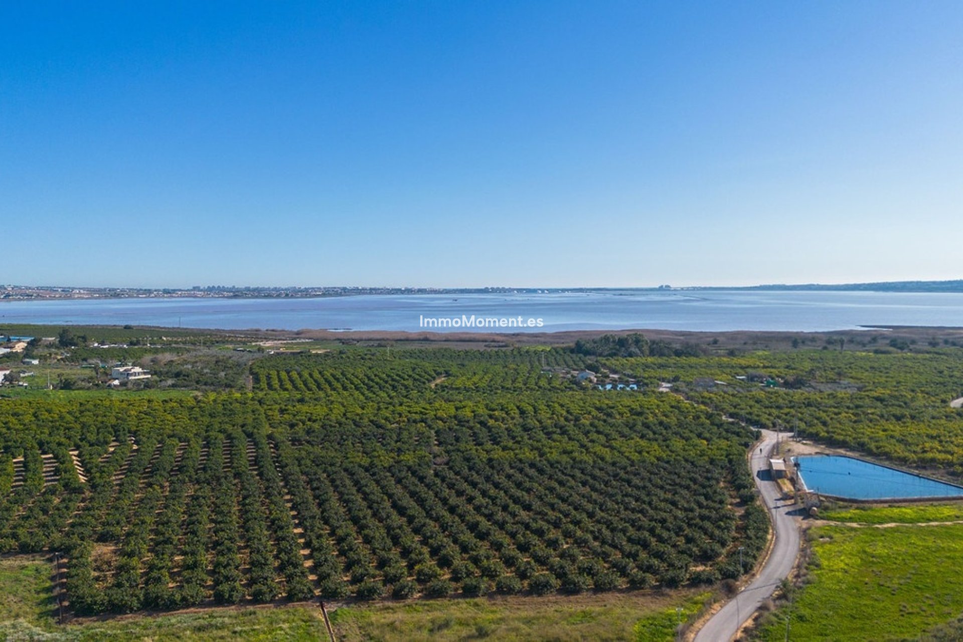 Resale - Apartment - Los Montesinos - Los Montesinos Centro