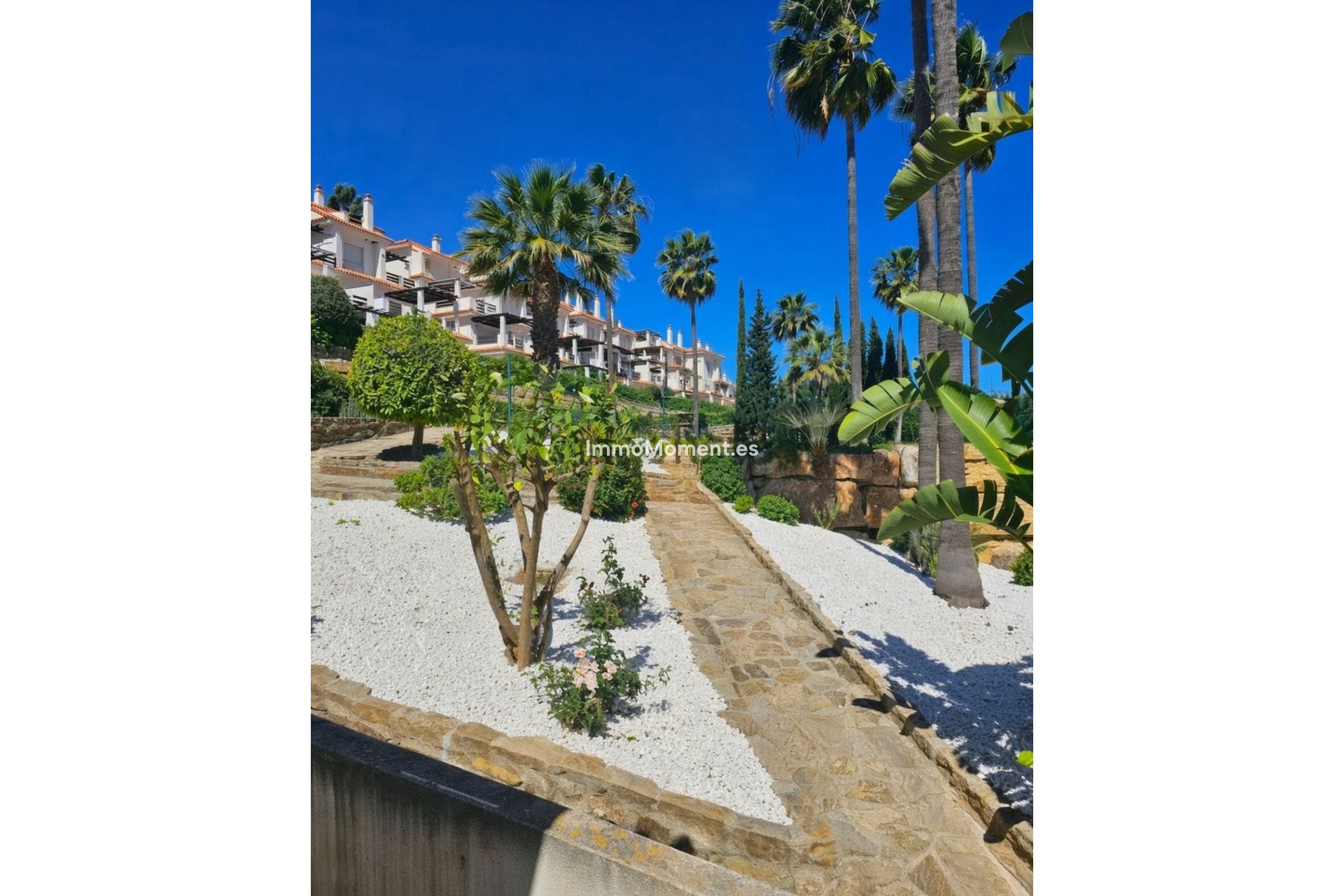 Resale - Apartment - Manilva - La Duquesa