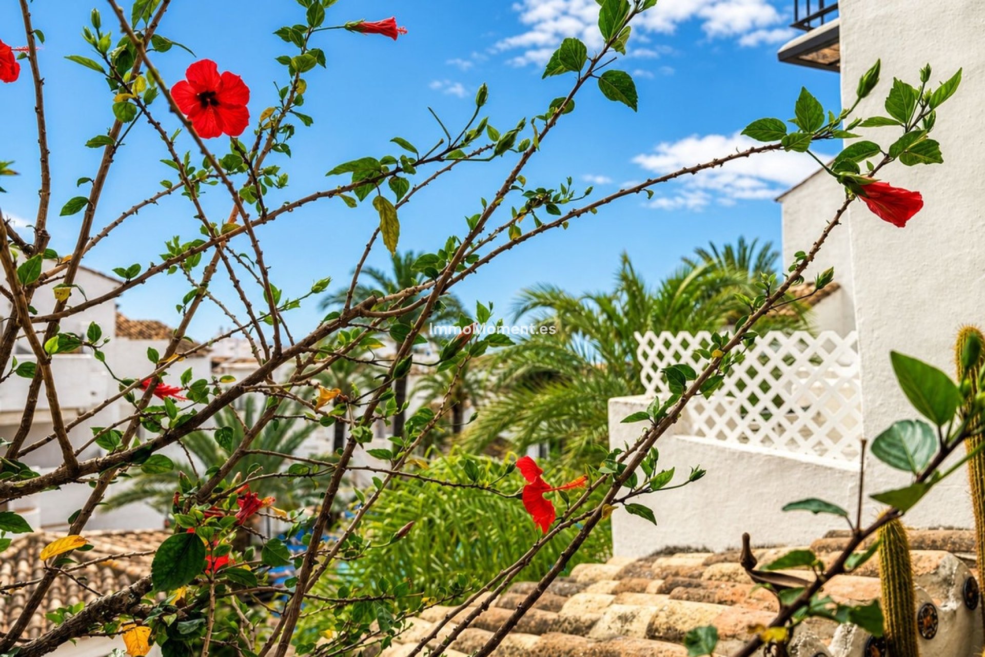 Resale - Apartment - Manilva - La Duquesa