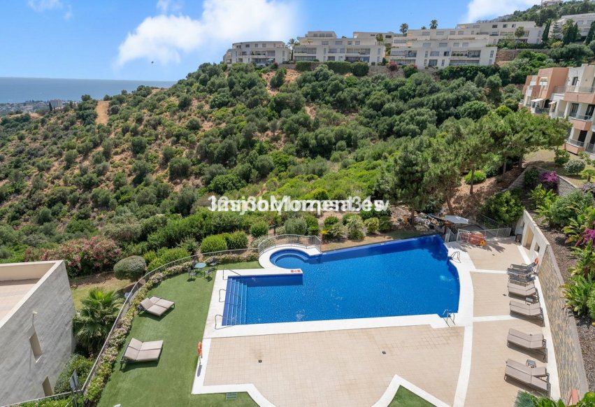 Resale - Apartment - Marbella - Altos de los Monteros
