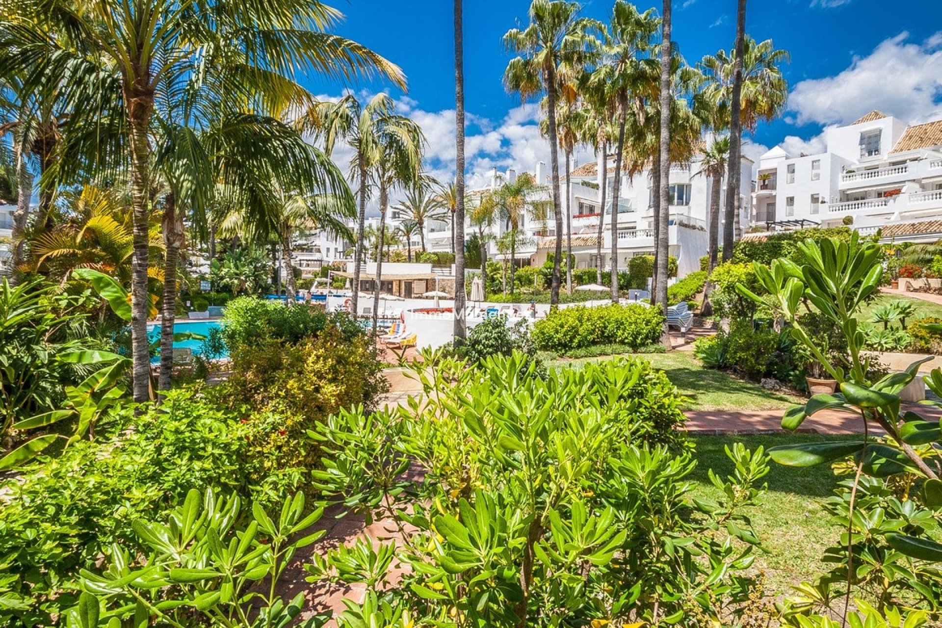 Resale - Apartment - Marbella - Elviria