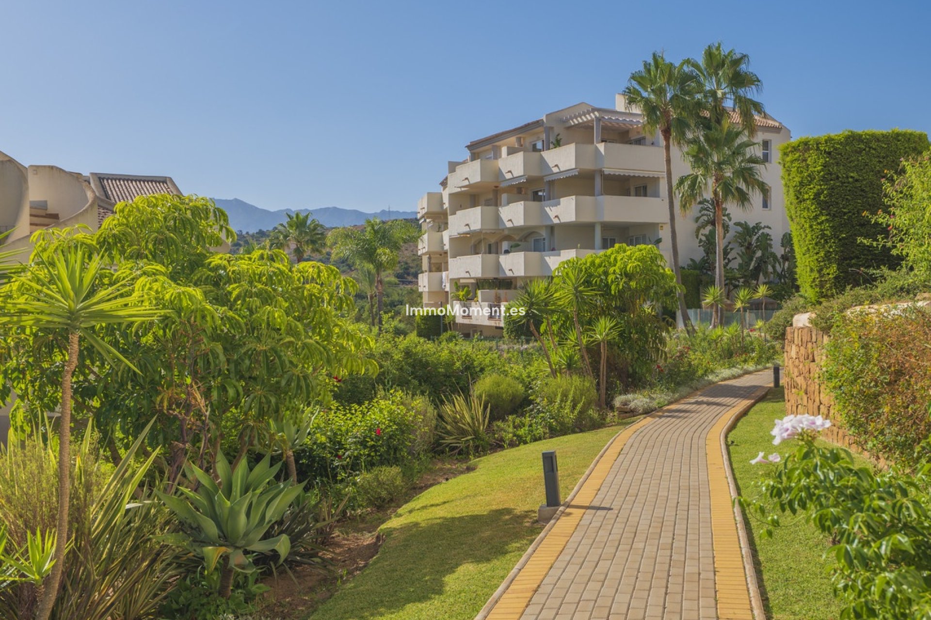 Resale - Apartment - Marbella - Elviria