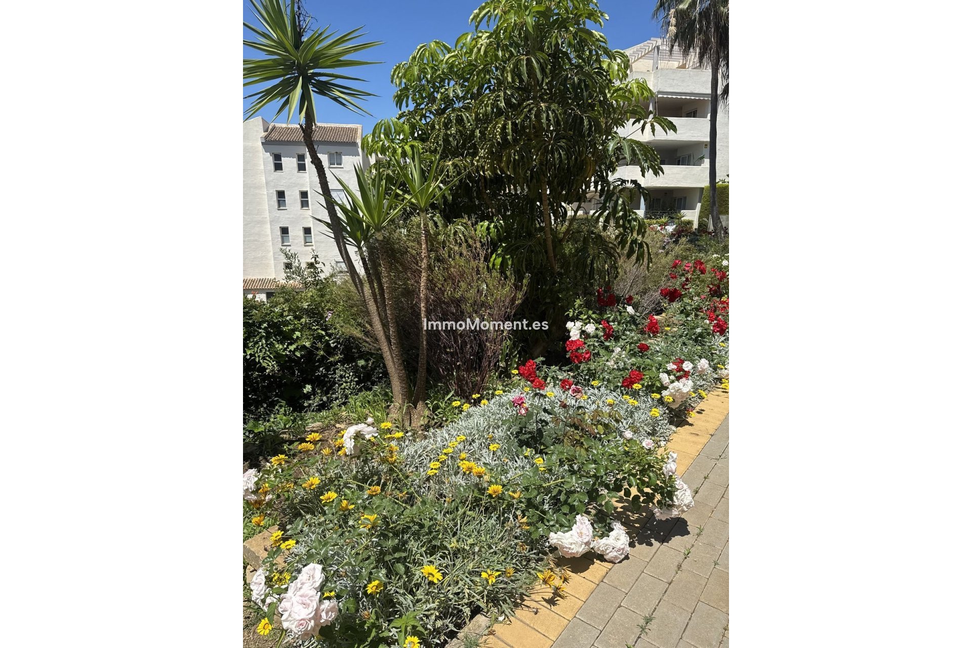 Resale - Apartment - Marbella - Elviria