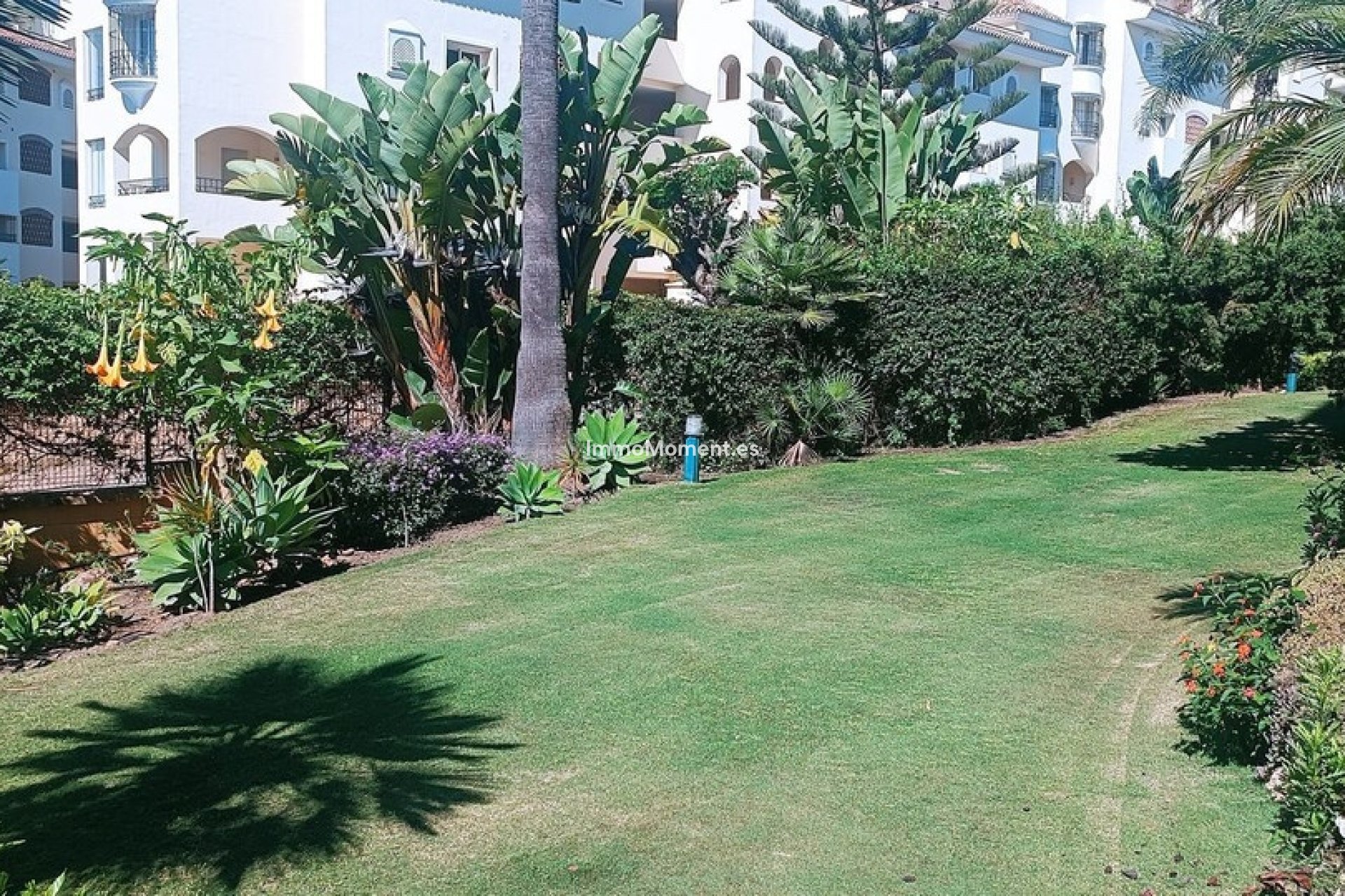 Resale - Apartment - Marbella - Elviria