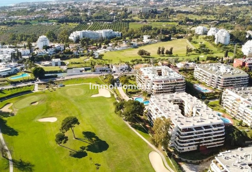 Resale - Apartment - Marbella - Guadalmina Alta