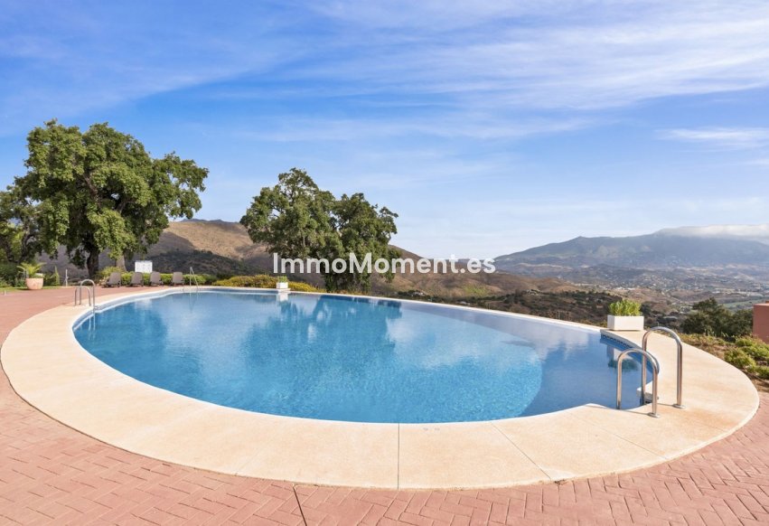 Resale - Apartment - Marbella - La Mairena