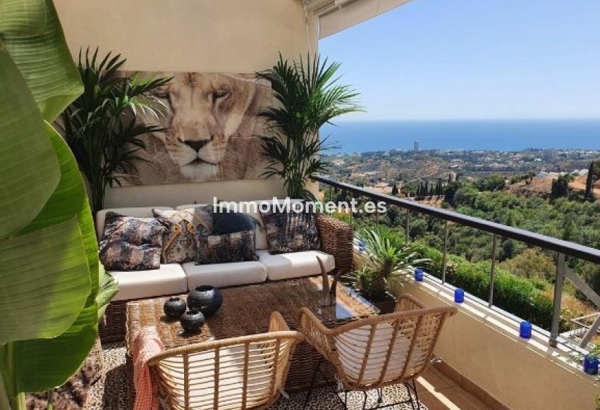 Resale - Apartment - Marbella - Los Monteros