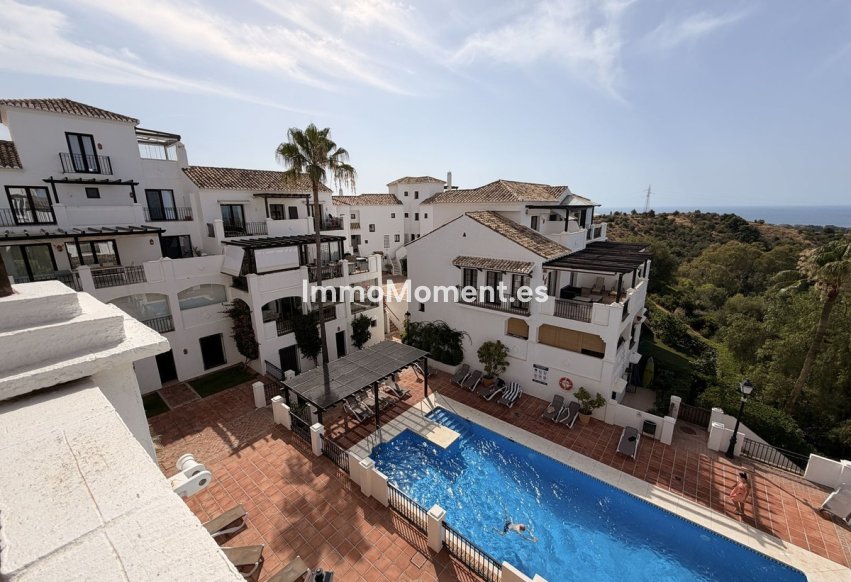 Resale - Apartment - Marbella - Los Monteros