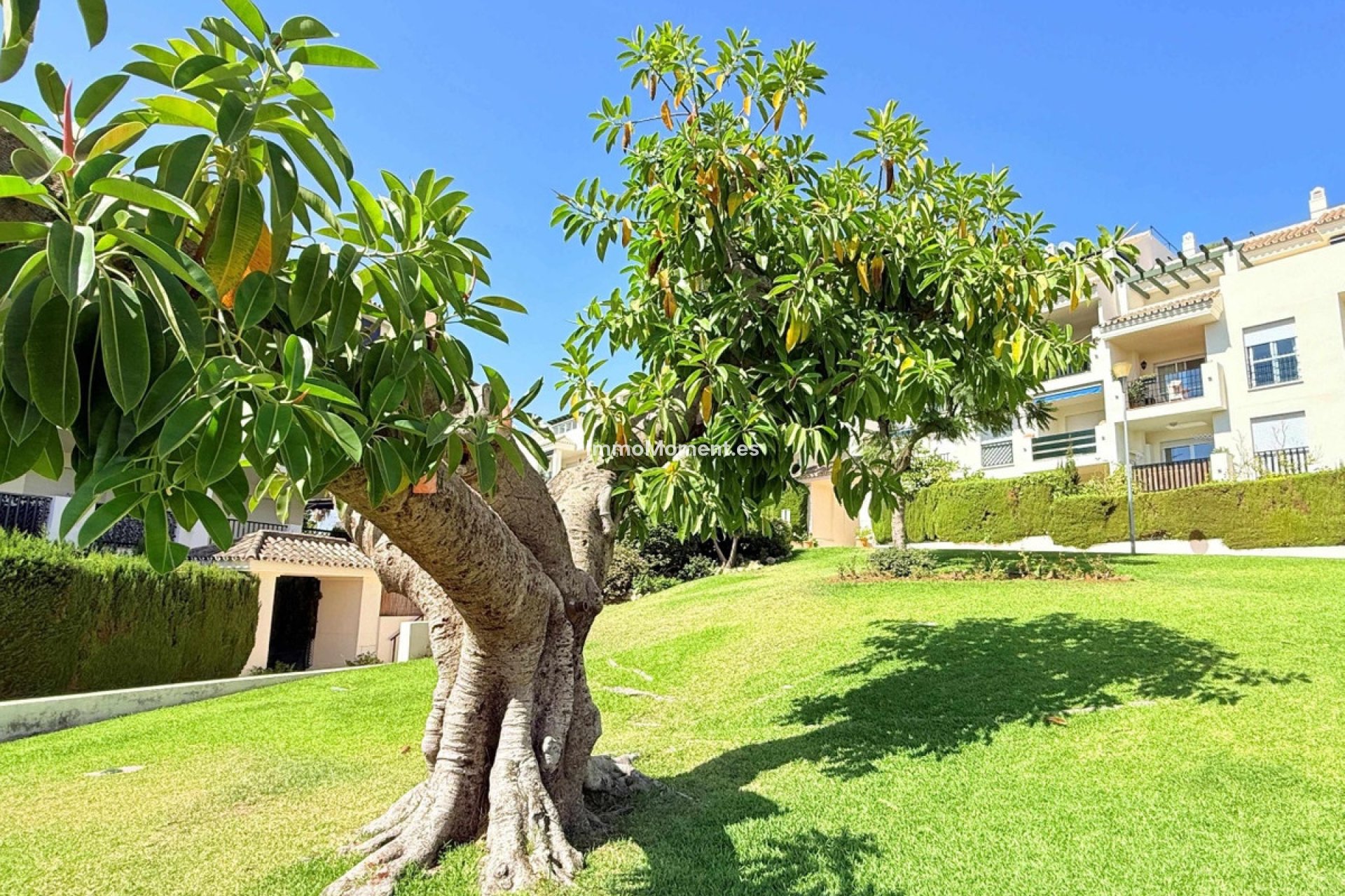 Resale - Apartment - Marbella - Marbella Centro
