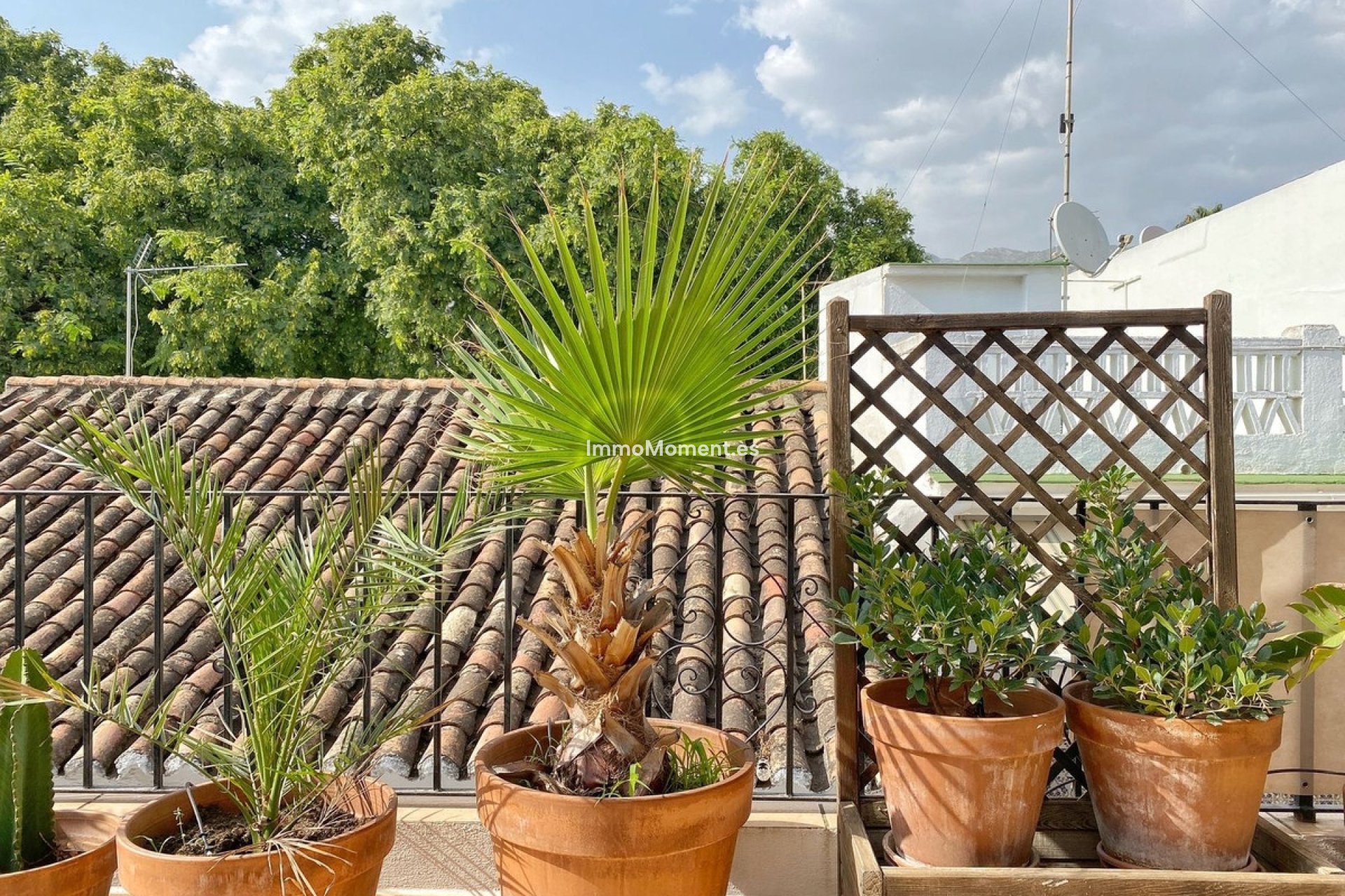 Resale - Apartment - Marbella - Marbella Centro