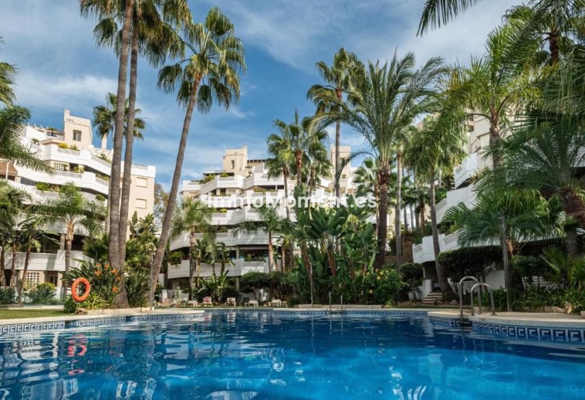 Resale - Apartment - Marbella - Nueva Andalucía