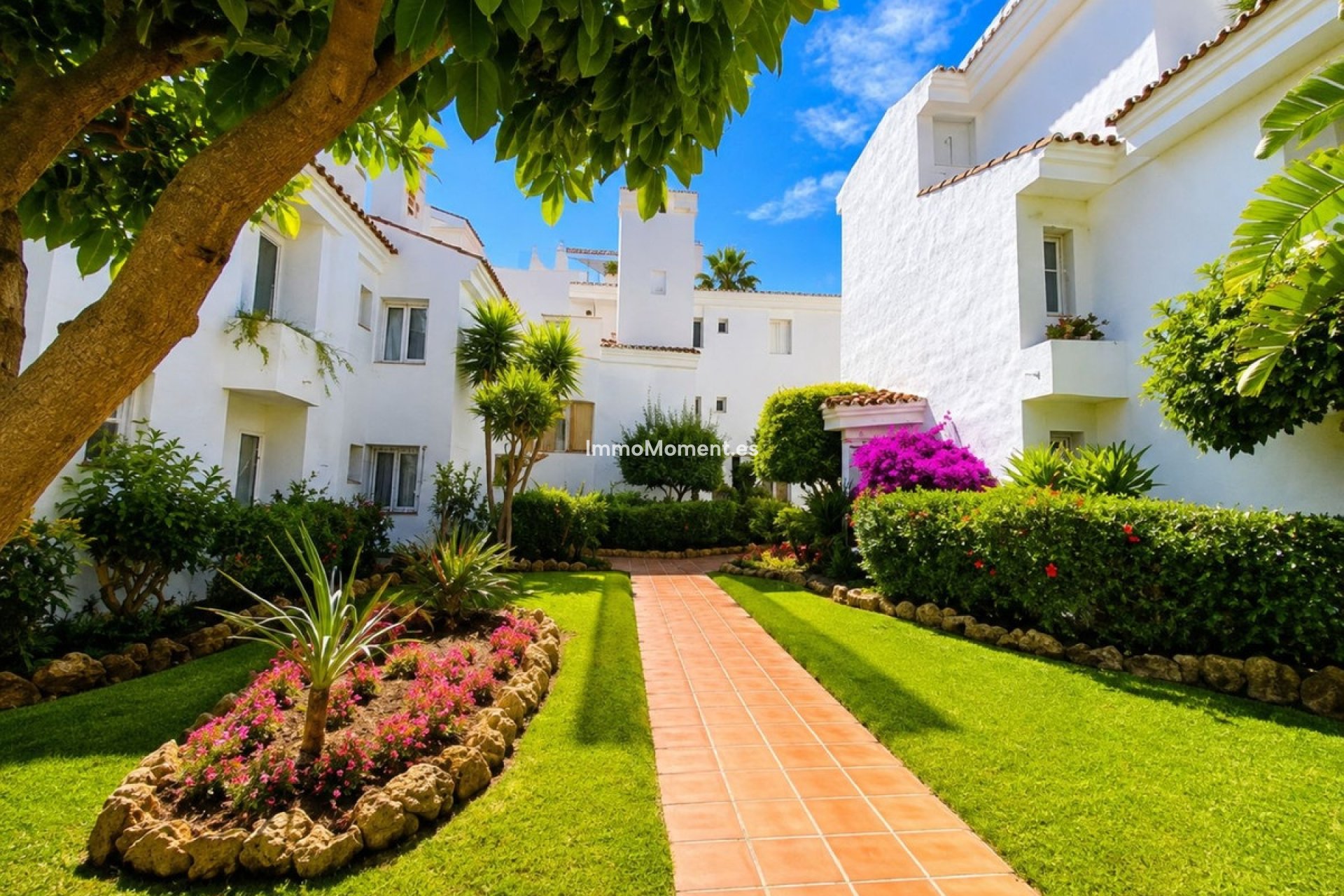 Resale - Apartment - Marbella - Nueva Andalucía
