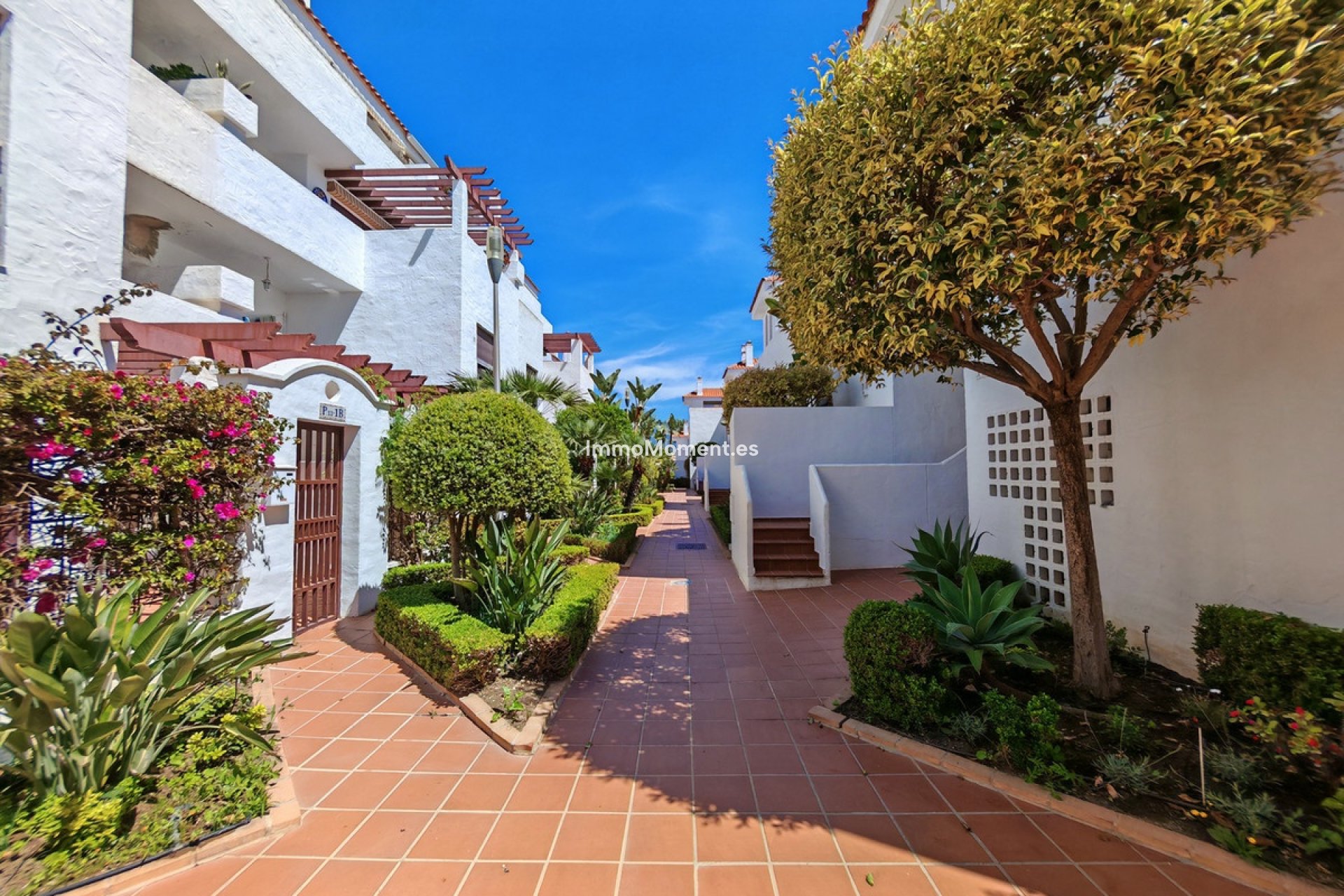 Resale - Apartment - Marbella - Nueva Andalucía