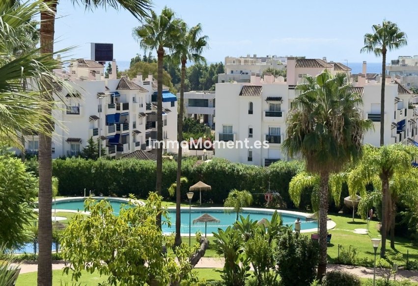 Resale - Apartment - Marbella - Nueva Andalucía