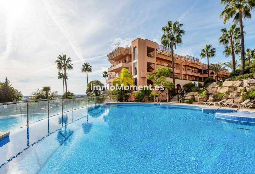 Resale - Apartment - Marbella - Nueva Andalucía