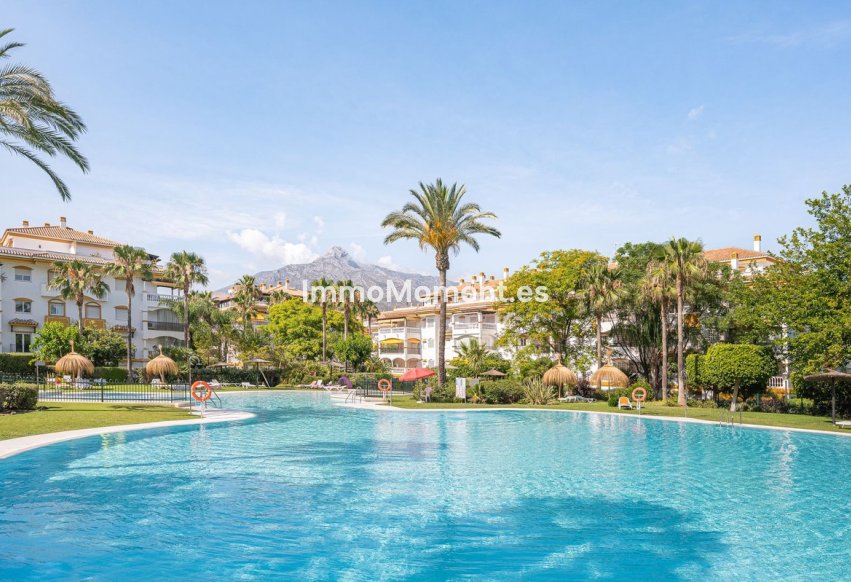 Resale - Apartment - Marbella - Nueva Andalucía