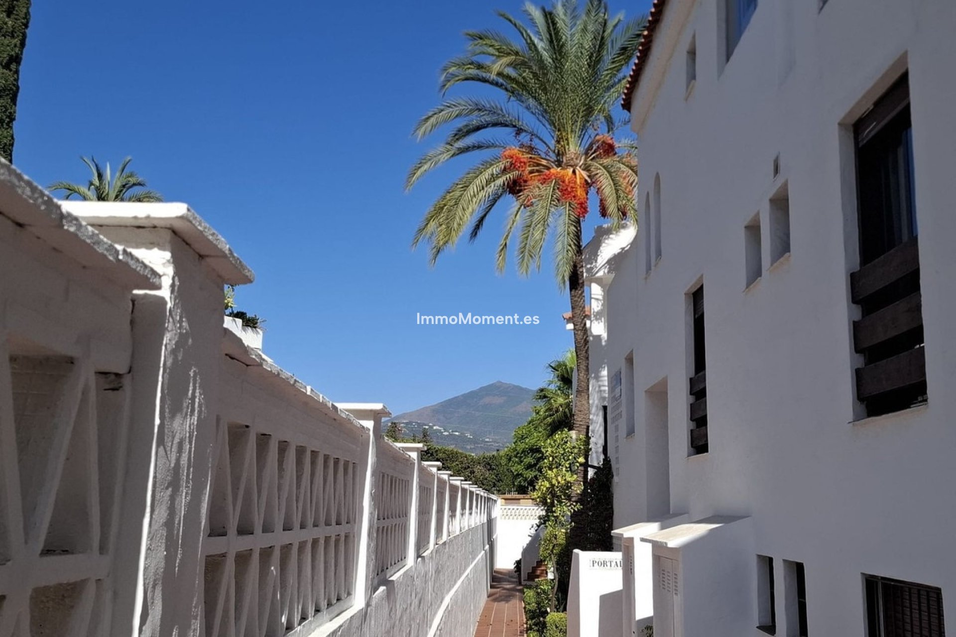 Resale - Apartment - Marbella - Nueva Andalucía