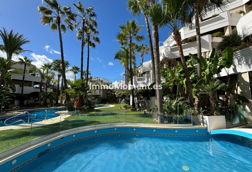 Resale - Apartment - Marbella - Nueva Andalucía