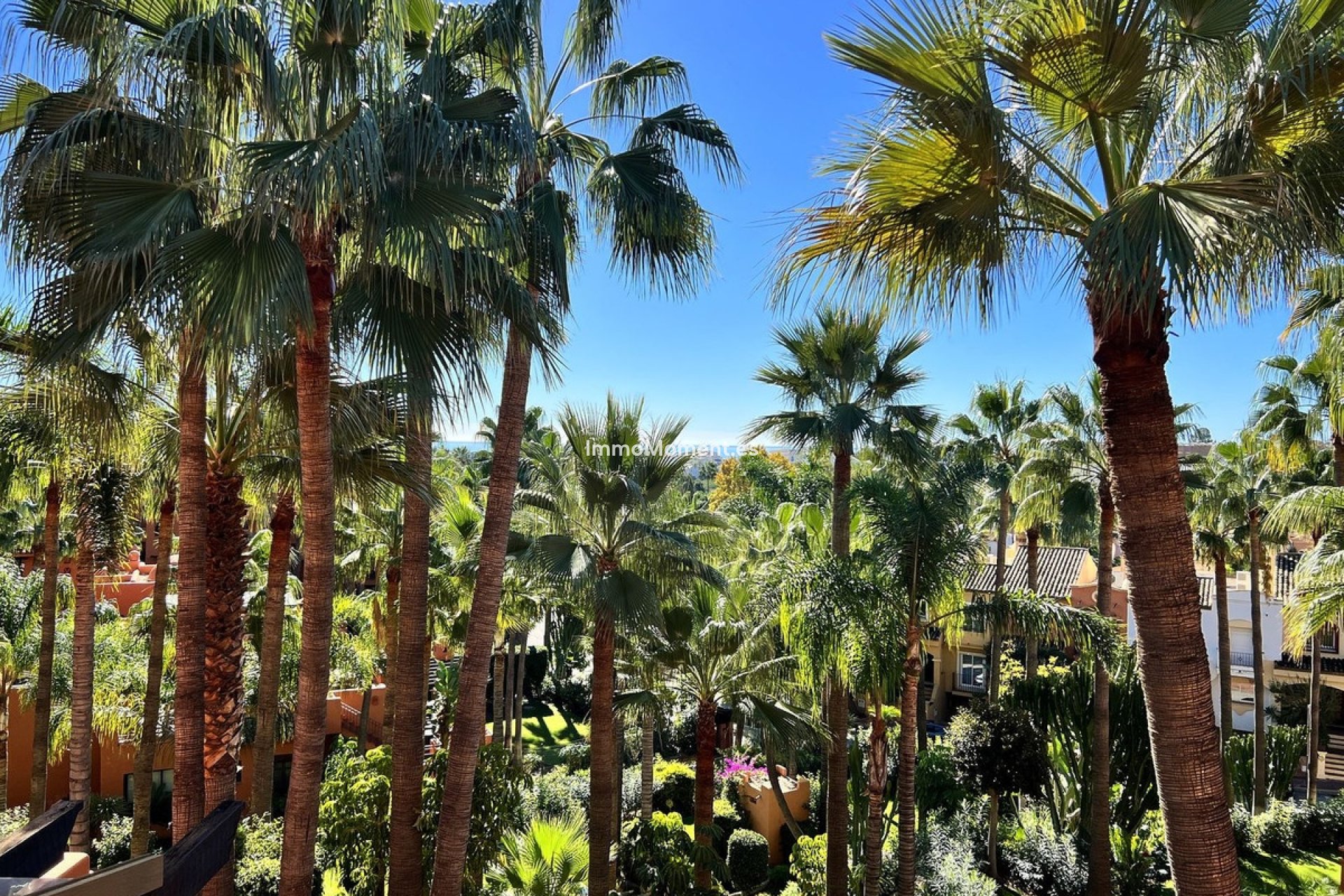 Resale - Apartment - Marbella - Nueva Andalucía