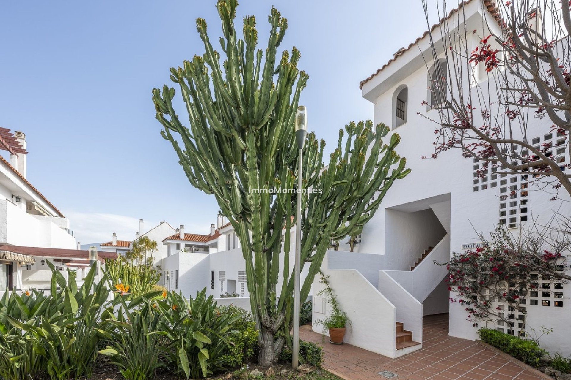 Resale - Apartment - Marbella - Nueva Andalucía