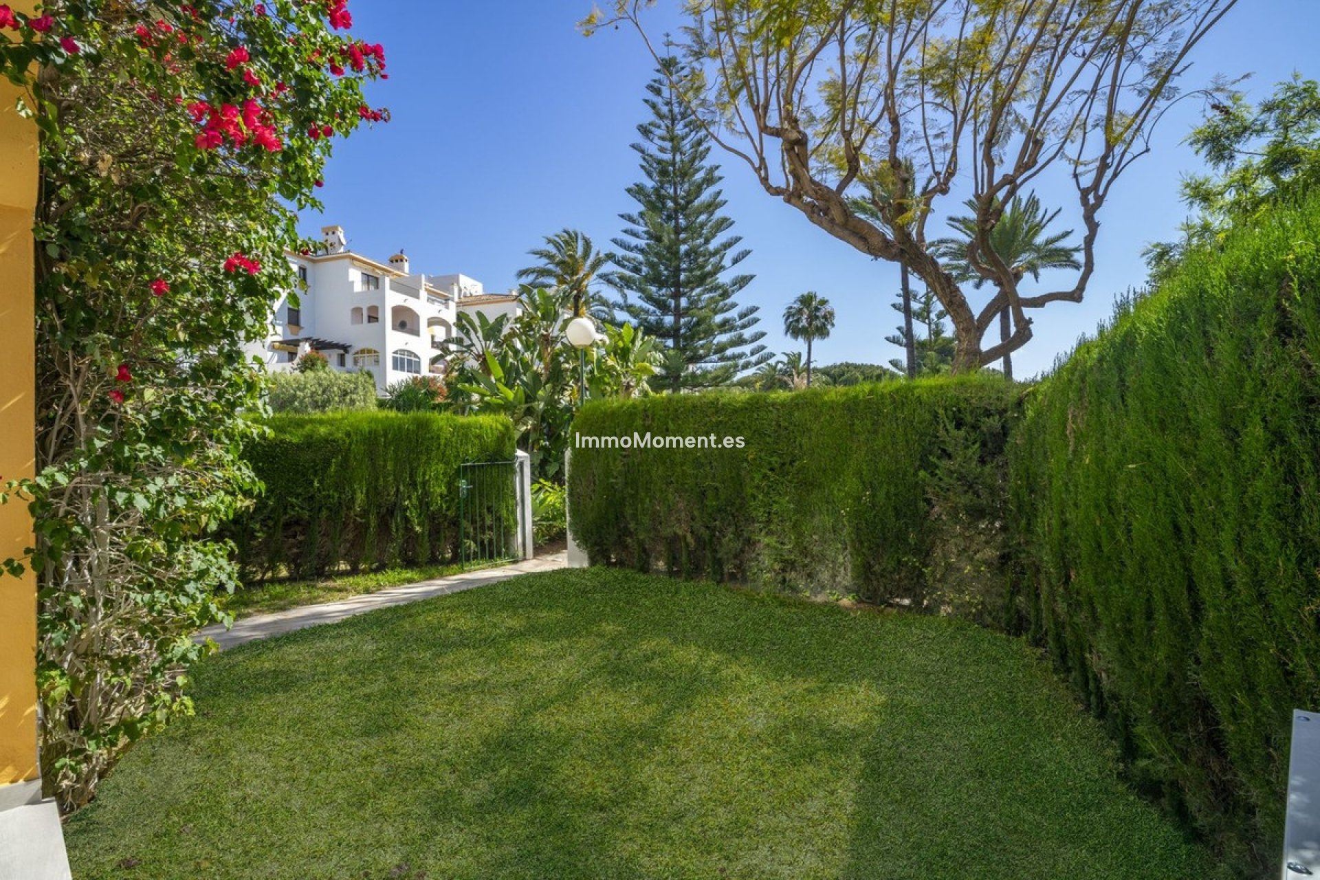 Resale - Apartment - Marbella - Nueva Andalucía