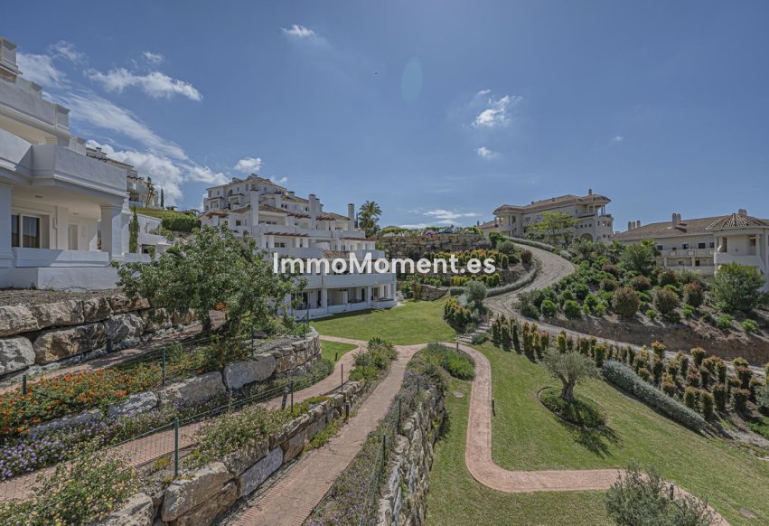 Resale - Apartment - Marbella - Nueva Andalucía
