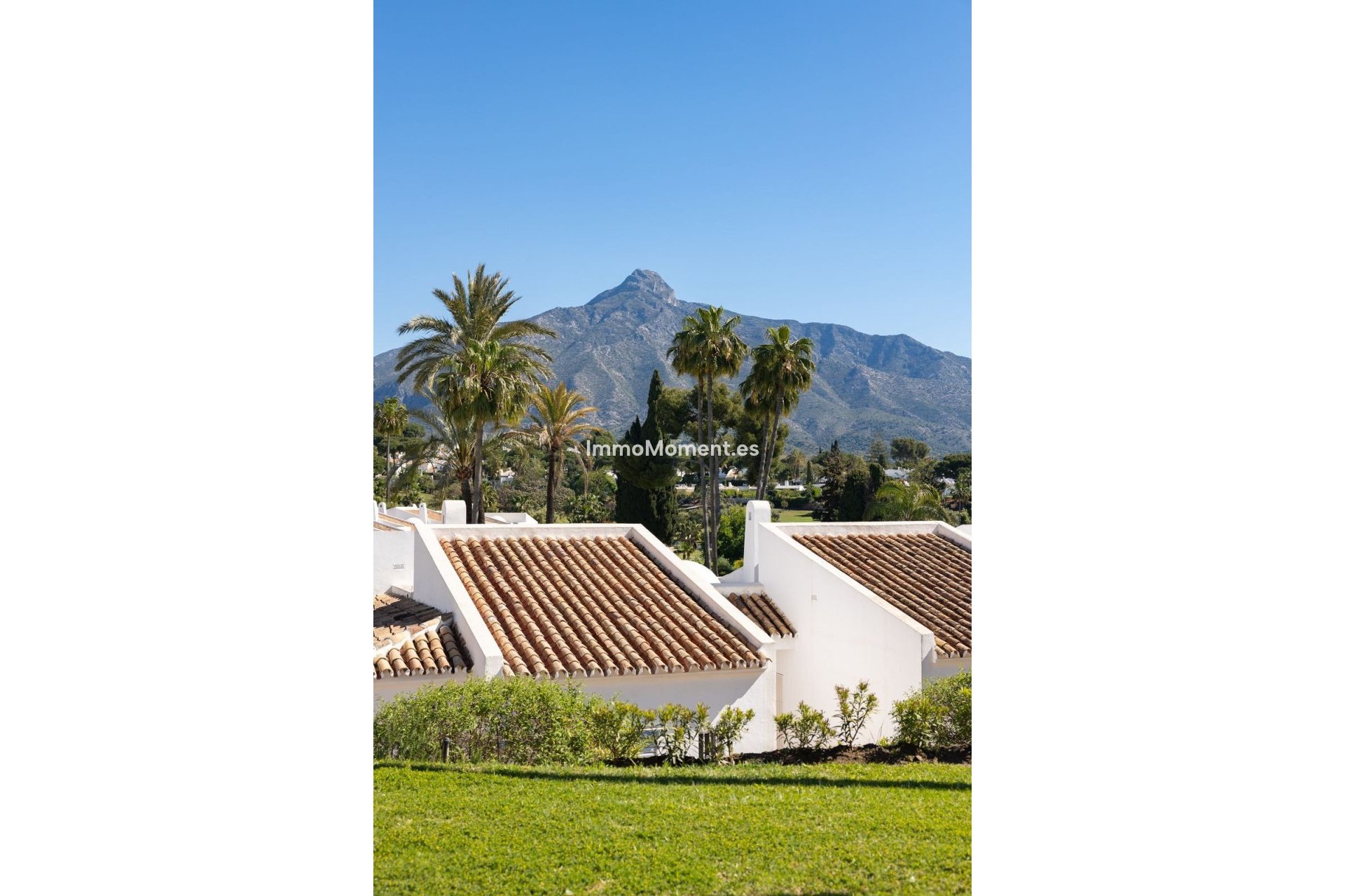 Resale - Apartment - Marbella - Nueva Andalucía