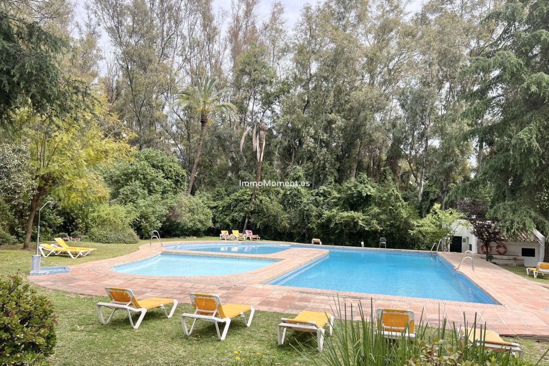 Resale - Apartment - Marbella - Nueva Andalucía