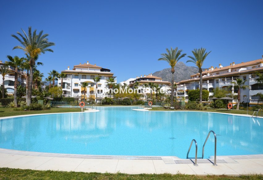 Resale - Apartment - Marbella - Nueva Andalucía