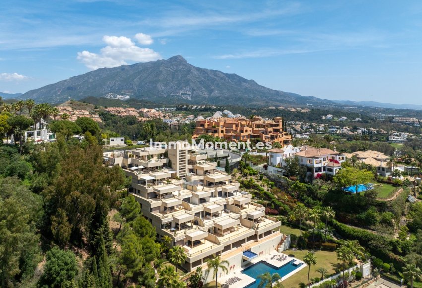 Resale - Apartment - Marbella - Nueva Andalucía