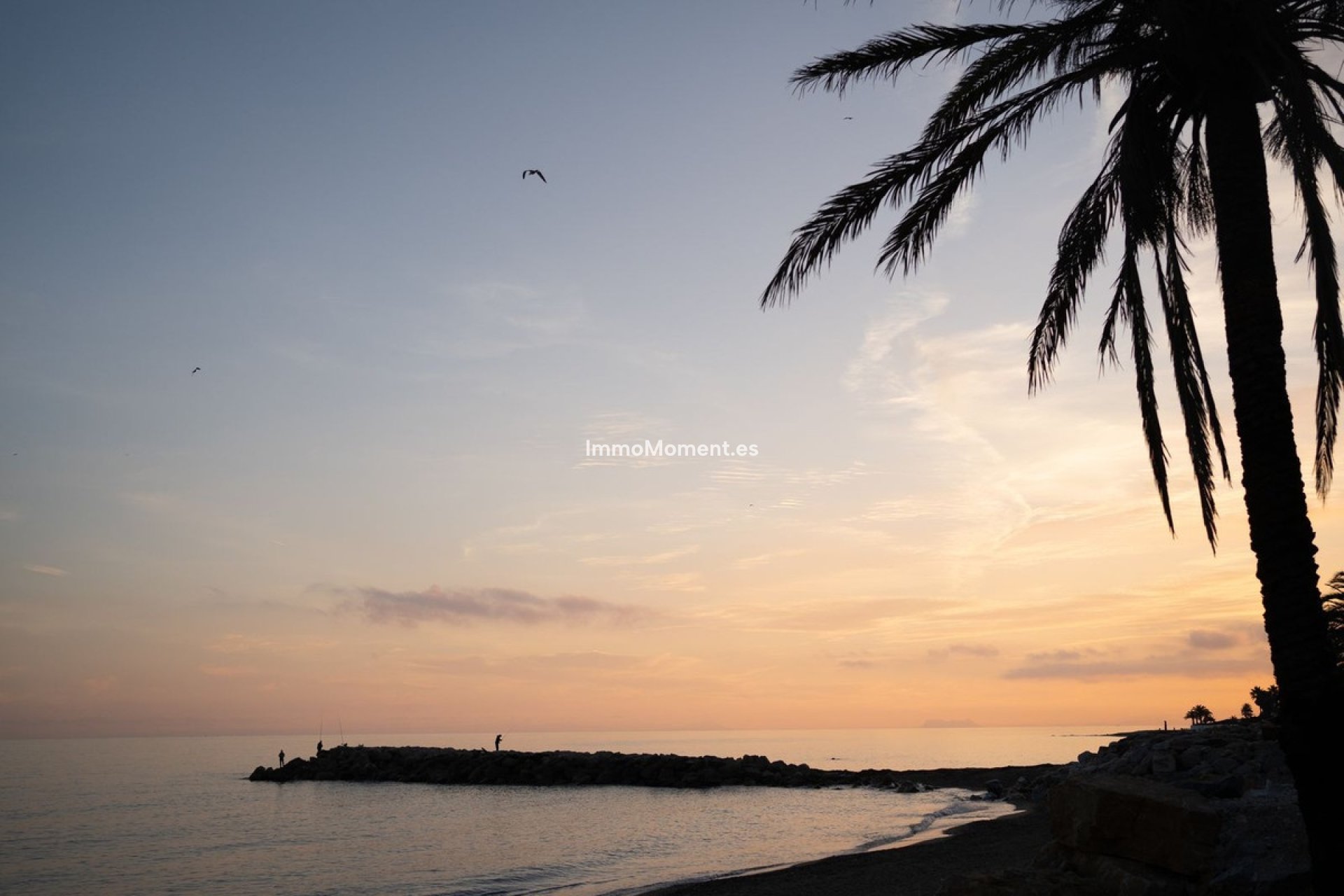 Resale - Apartment - Marbella - Puerto Banús