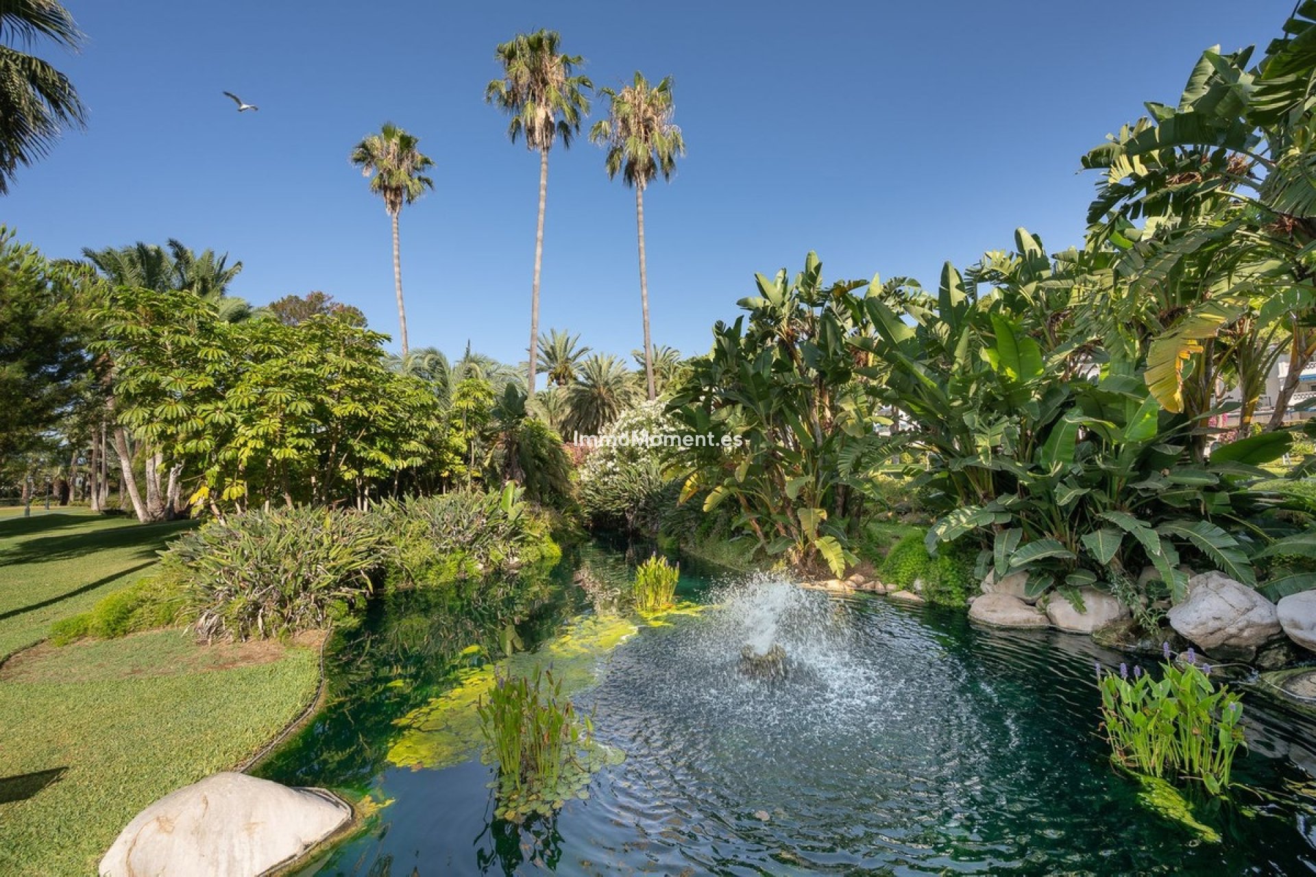 Resale - Apartment - Marbella - Puerto Banús