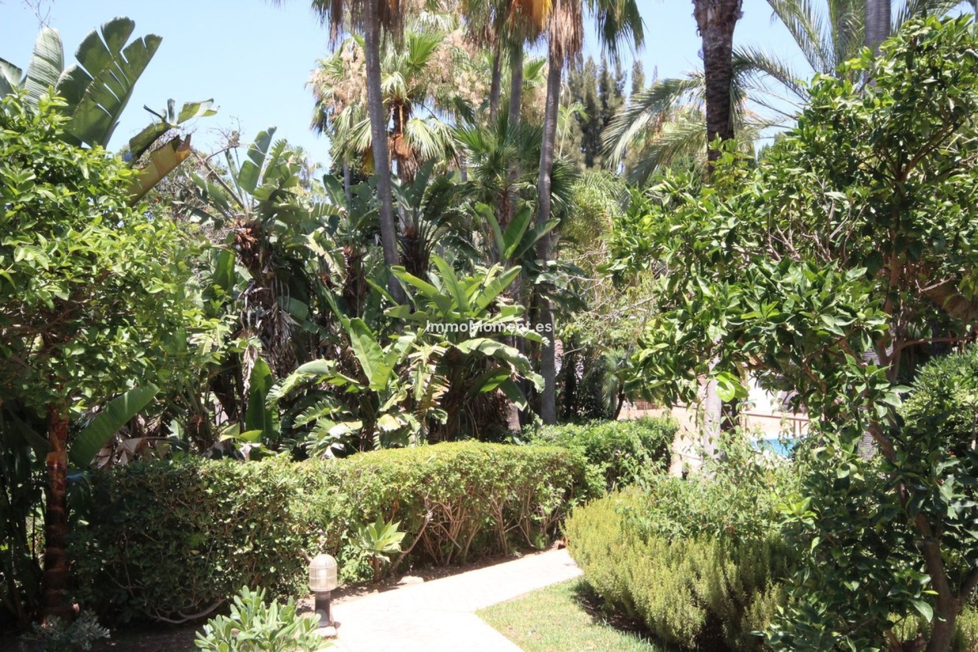 Resale - Apartment - Marbella - Reserva de Marbella